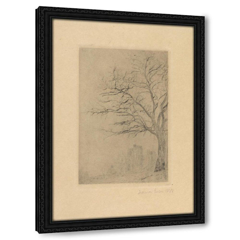 Acacia (1888)