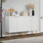 Armoire d'appoint cannelée à 2 portes de 28,5 po avec tablettes intérieures réglables Rishaw-240623324
