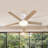 52" 5 - Blade Ceiling Fan With Light & Remote Control-219099419-219099396