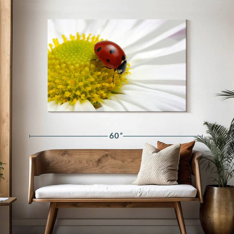 Crowle Ladybug sur camomille