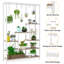 Altonya Plant Stand-758624425