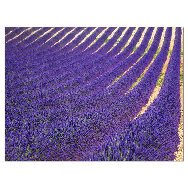 Reproduction de photo sur toile tendue, H 20 po x l 20 po x P 1 po