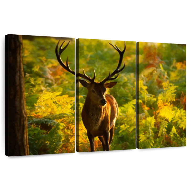 Cerf Brampt Autumn Woodland, H 32 po x l 50 po