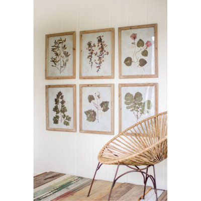 " Sibley Leaf " 6 - Pieces