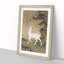 Roe Deer by Lang Shining - Picture Frame Painting Print-55618290-55618293