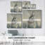 Toile tendue Wild Hare II-Gallery-1633085072