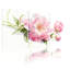 Pivoine rose, aquarelle sur toile, ensemble de 3 panneaux, impression botanique élégante pour le salon ou la chambre à coucher-832401771