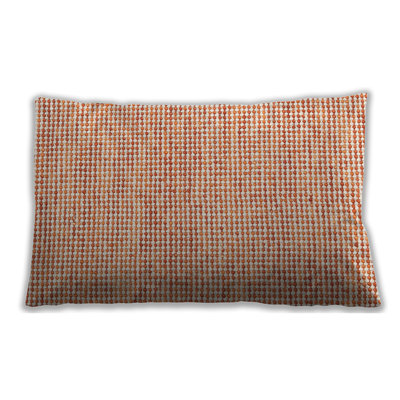 Contemporary 2570 Throw Pillow