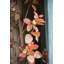 Arbre de bauhinia artificiel-225414059-225414069