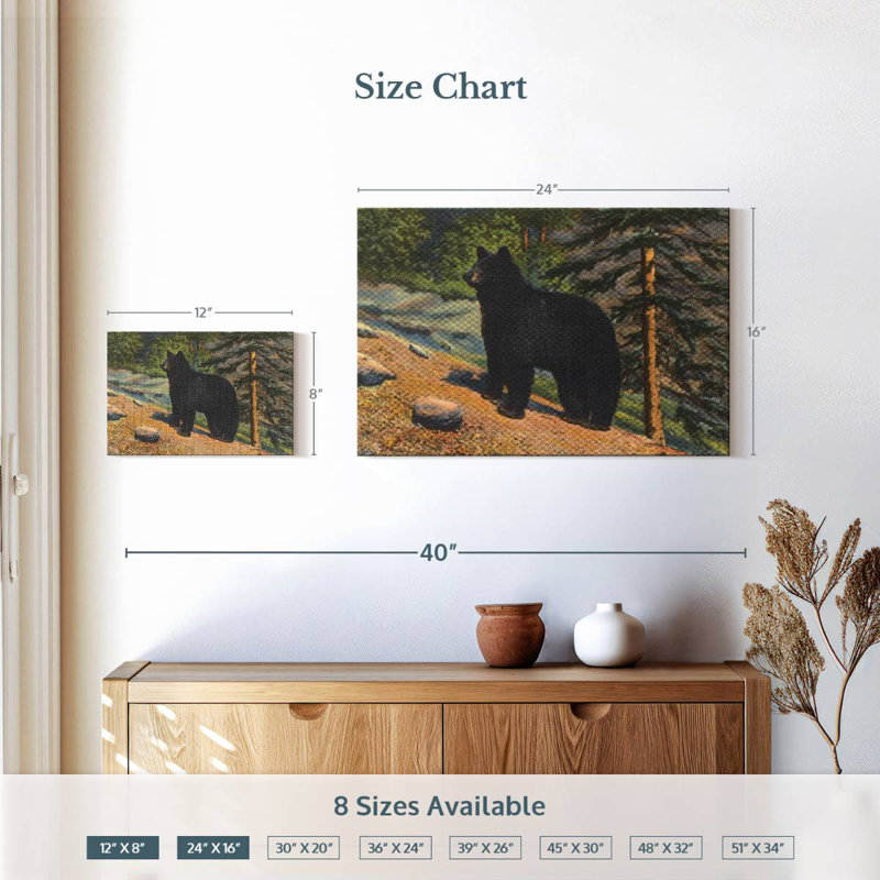 Brampt Black Bear