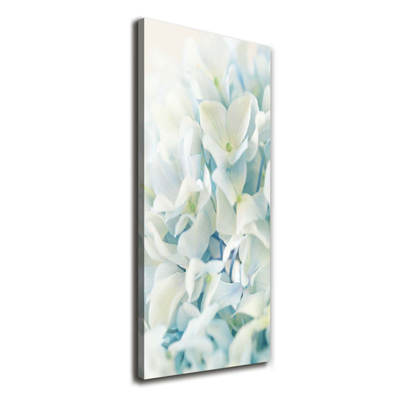 Hydrangea Flower - Wrapped Canvas Print