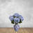 Hydrangea Bush-292098870