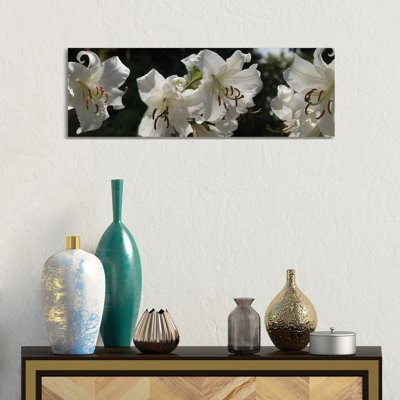 Close-Up Of White Lilies Flowers by Panoramic Images - Wrapped Canvas Panoramic Print