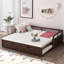 Lit de jour extensible avec couchette, lit de jour en bois avec couchette, espresso (VIEUX SKU: WF194887AAP)-463215041