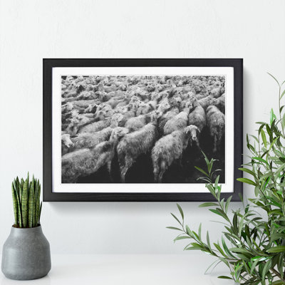 Flock of Sheep Vol.1 - Framed Print