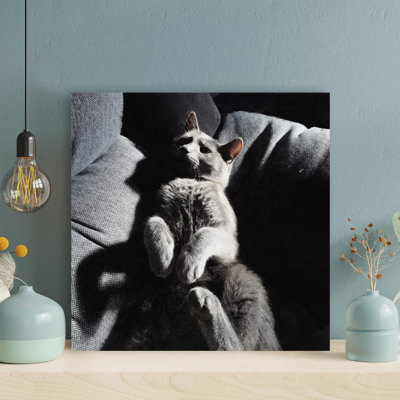 «Grey Grey Allongé sur un tissu noir», reproduction d'art graphique carré sur toile tendue