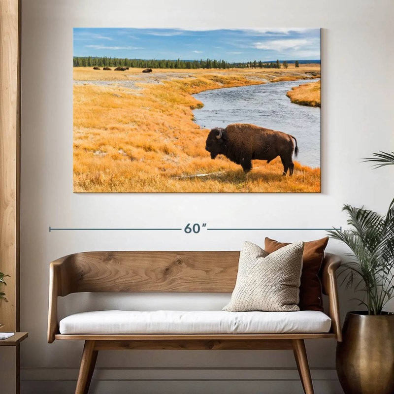 Brampt National Park Bison, 34" H x 51" W