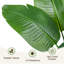 Aneekha 200cm Faux Plant