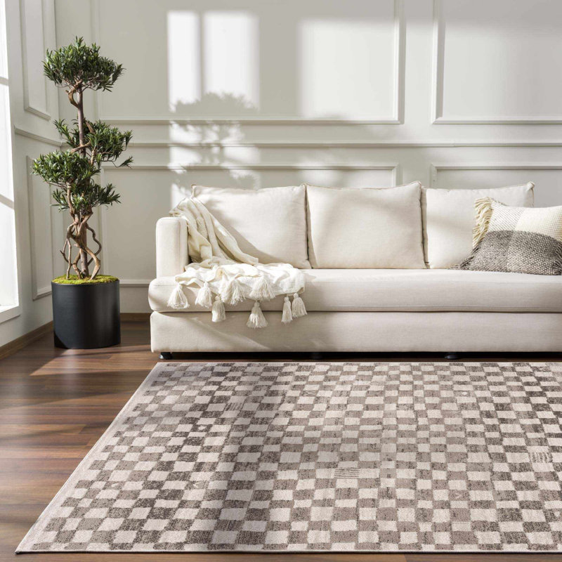 Jasha Checkered Area Rug, Rectangle 7'10" x 10', Brown
