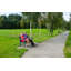 Lexi Wooden Bench-839945619-839945617