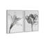 Peeking Flowers Set Set by Oliver Gal-1060062556-1060062558