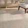 Huntingtown Viscose Abstract Indoor Rug