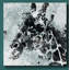 Girafe - reproduction sur toile-1270291856