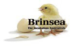 Brinsea Logo