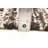 Sienna  Brown Rug 5'5" x 7'6"