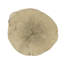 Table d'appoint ACME Gene, finition brun naturel