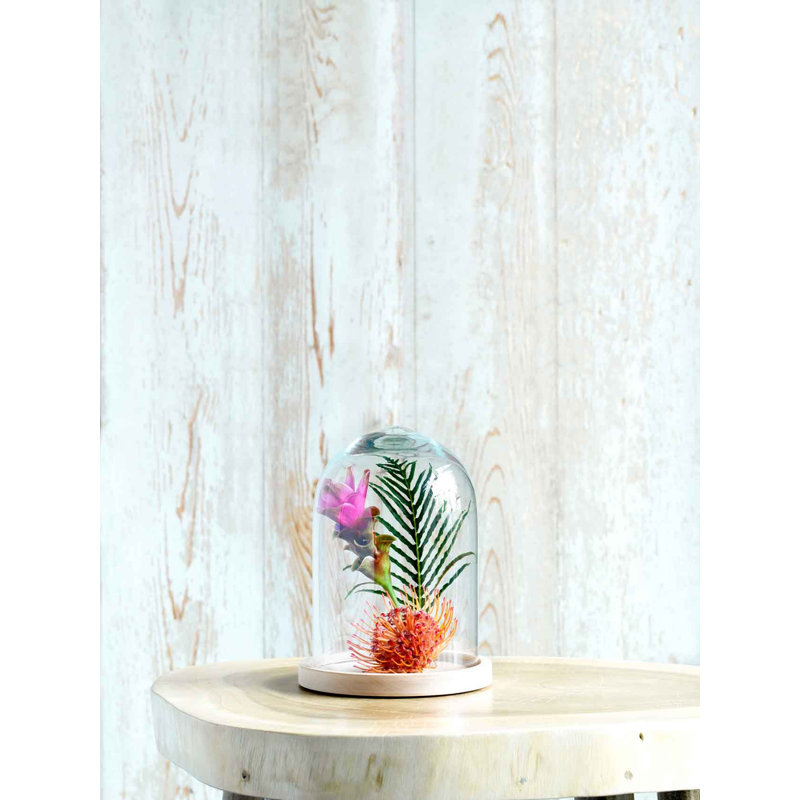 Isra Glass Terrarium, Oak