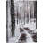 Winter " Winter Snow Forest Trees "-99141687-99141684