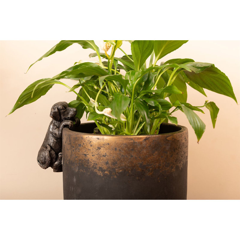 Hestleton Animals UV Resistant Stone Garden Statue