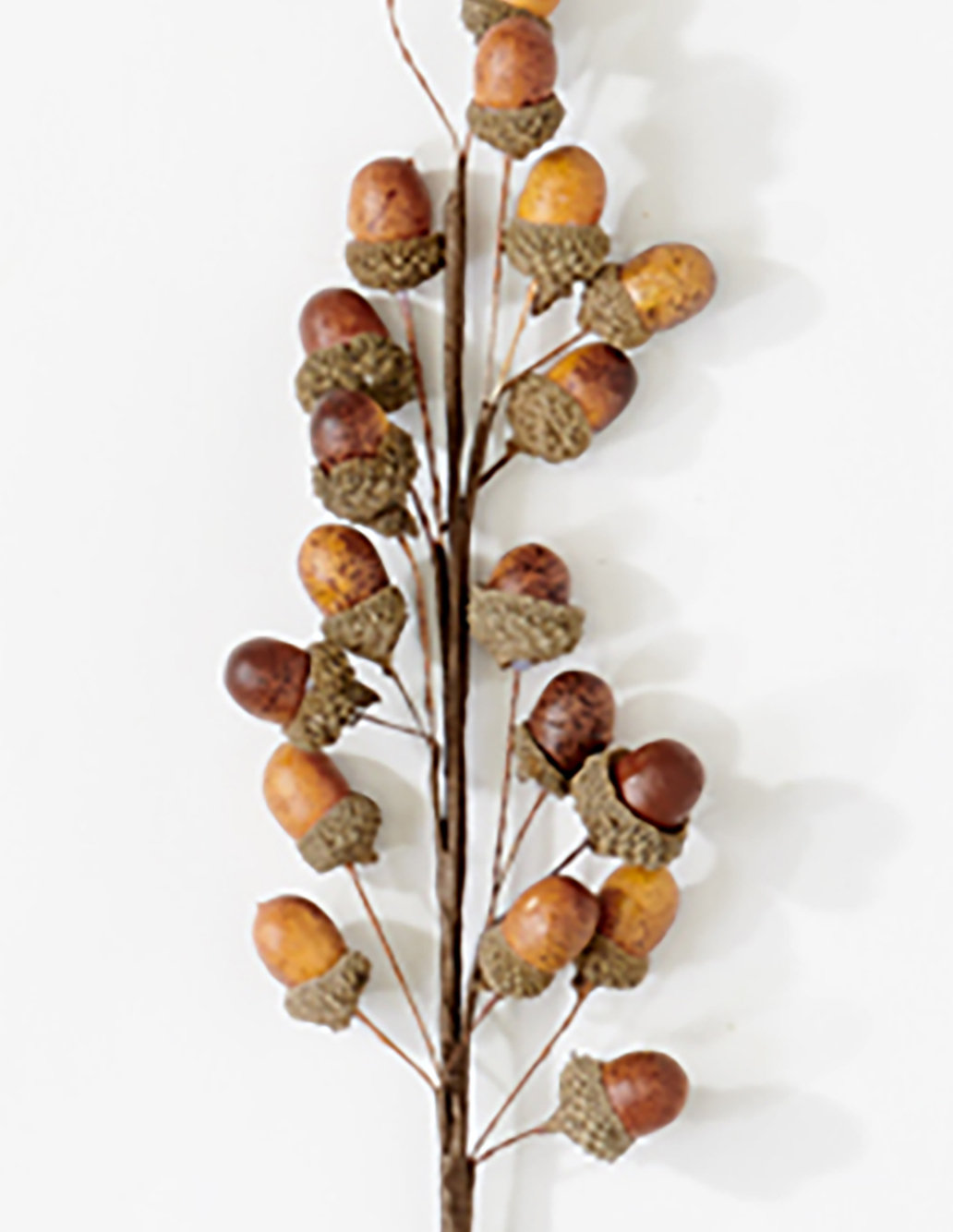 Acorn Floral Stems