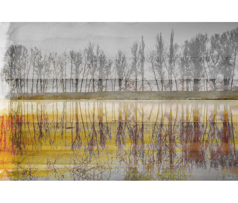 Parvez Taj - Wrapped Canvas Print, 61cm H x 91cm W