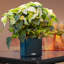 Pot de fleurs en plastique Cube-35944184-35933690