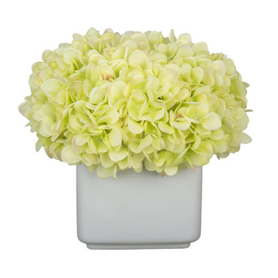Hydrangea Arrangement