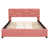 Rose est en rupture de stock