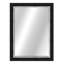 Metropolis Flat Beveled Mirror-41081423-41081421