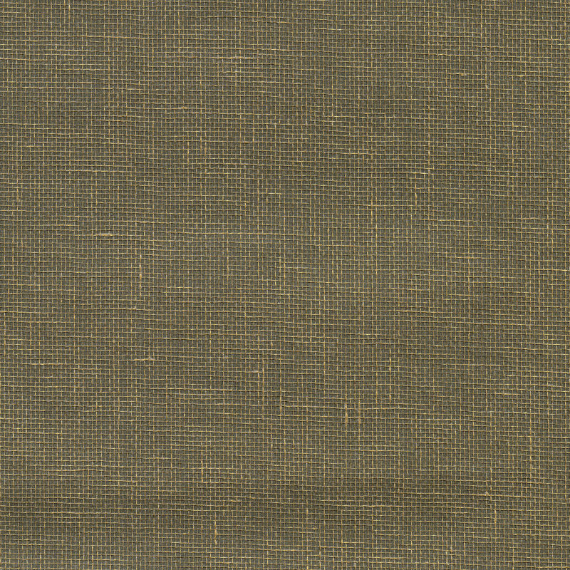 Rouleau de papier peint L 288 pi x l 36 po Leyte, Gris