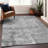  Machine Washable Indoor/Outdoor Chayden ACN1062 Rug-1820922941