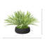 Arrangement d'herbe dans un pot en fibre de pierre