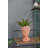 D7x11" Visage Head Bust Planter-874412093