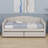 Upholstered Daybed With Two Drawers-2066413941