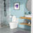 Ceramic One Piece Toilet
