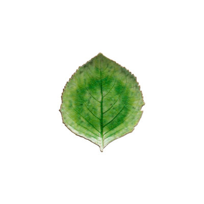 Riviera 8.58'' Stoneware Appetizer Plate