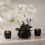 Lot de 2, orchidée phalaenopsis blanche | Élégantes fausses orchidées dans des pots noirs de 7 po - Décoration réaliste pour la maison et le bureau