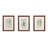 Ensemble d'art mural encadré 3 pièces Lady Fern Botanical Illustration