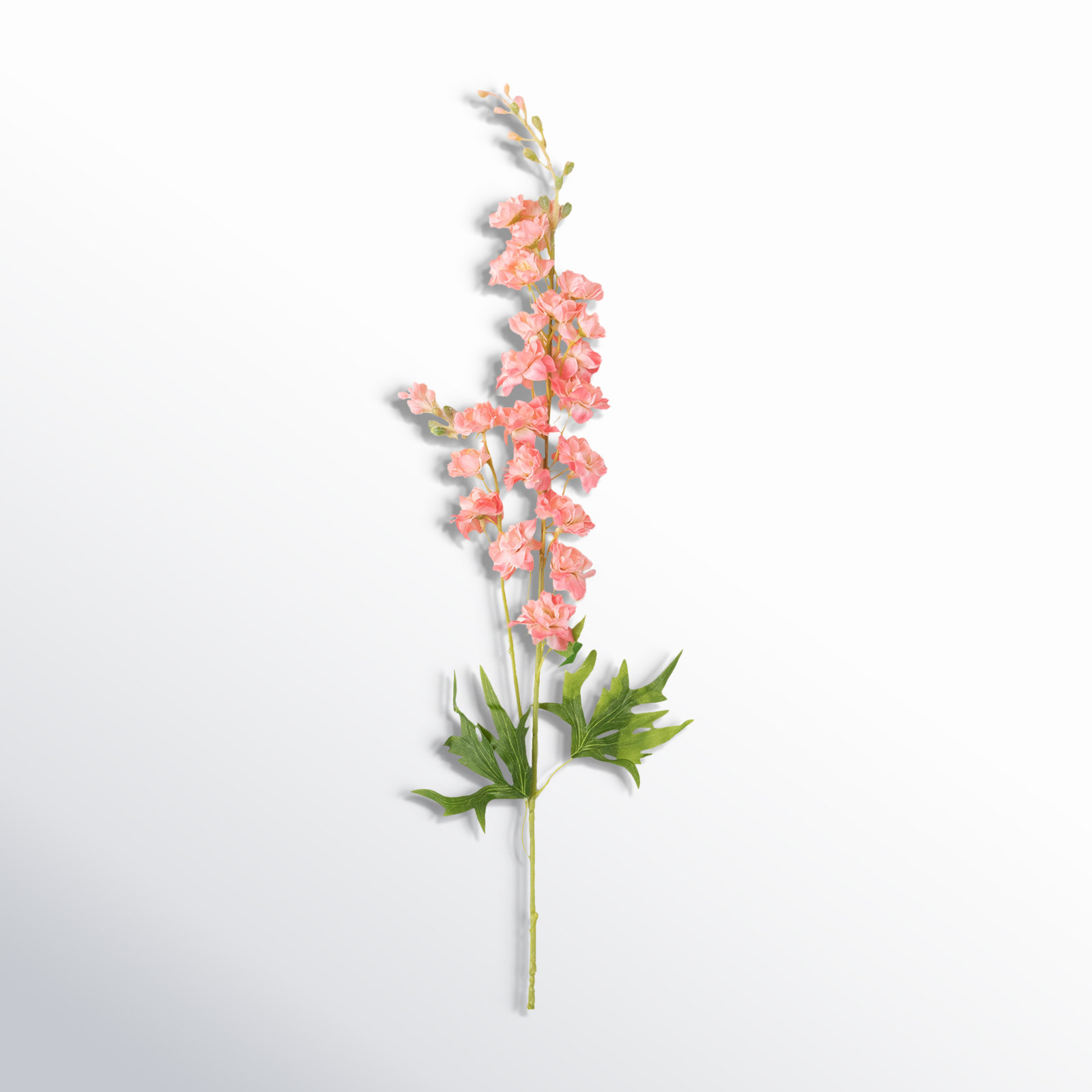 Larkspur Sprays, Pink