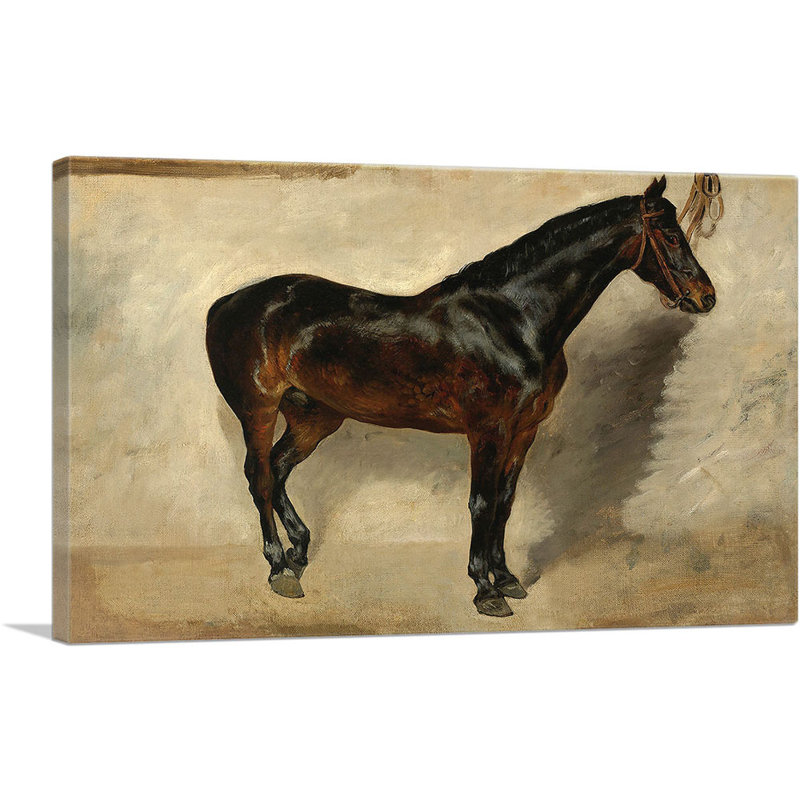 Étude d'un cheval brun-noir - impression, H 18 po x l 26 po x P 1,5 po